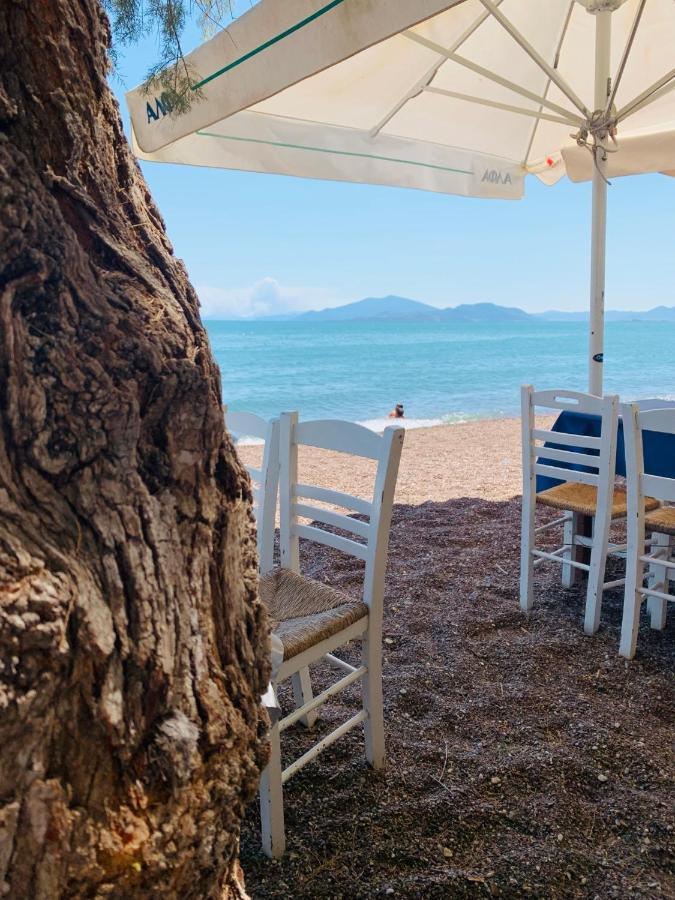 Villa ,,Sea Breeze,, - Home By The Sea Néa Ankhíalos المظهر الخارجي الصورة